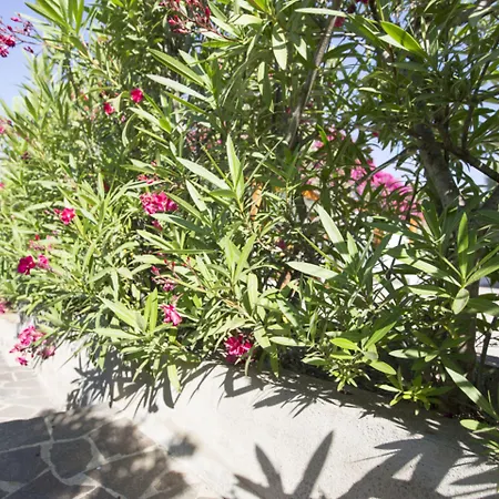 호텔 La Corte Degli Ulivi 3*