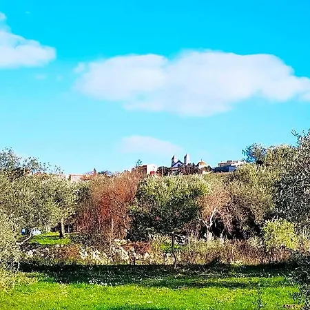 فندق La Corte Degli Ulivi