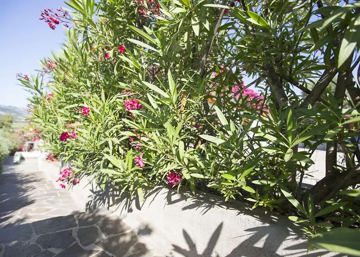 Hotel La Corte Degli Ulivi 3*